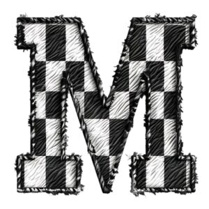 Heat transfers Iron on stickers  BW checker letter 25 for Tshirts Iron on Decal Patches Stickers Clothes Hat Pillows DIY Crafts