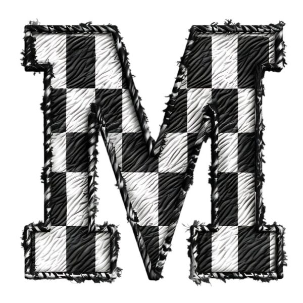 Heat transfers Iron on stickers  BW checker letter 25 for Tshirts Iron on Decal Patches Stickers Clothes Hat Pillows DIY Crafts