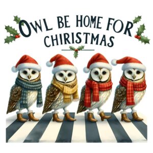Heat transfers Iron on stickers  Chrismas winter 1124 for Tshirts Iron on Decal Patches Stickers Clothes Hat Pillows DIY Crafts
