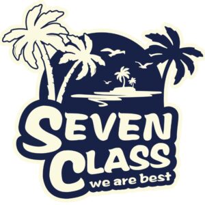 Heat transfers Iron on stickers  Class student shirt 46 for Tshirts Iron on Decal Patches Stickers Clothes Hat Pillows DIY Crafts