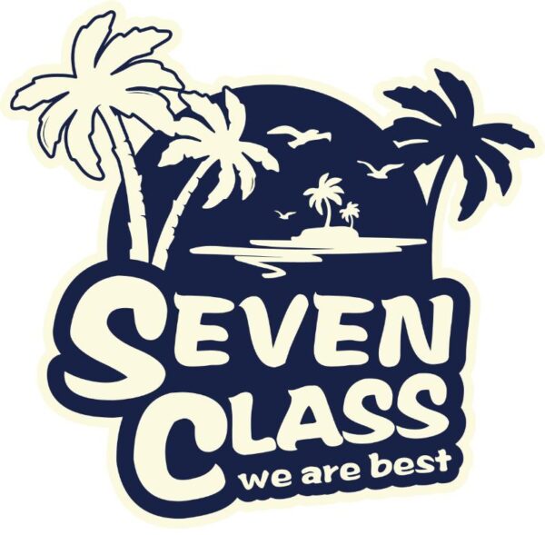 Heat transfers Iron on stickers  Class student shirt 46 for Tshirts Iron on Decal Patches Stickers Clothes Hat Pillows DIY Crafts
