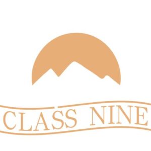 Heat transfers Iron on stickers  Class student shirt 71 for Tshirts Iron on Decal Patches Stickers Clothes Hat Pillows DIY Crafts
