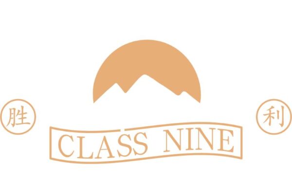 Heat transfers Iron on stickers  Class student shirt 71 for Tshirts Iron on Decal Patches Stickers Clothes Hat Pillows DIY Crafts
