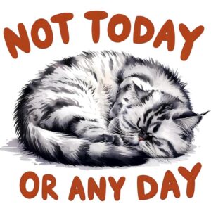 Heat transfers Iron on stickers  Inspirational sayings quotes 212 for Tshirts Iron on Decal Patches Stickers Clothes Hat Pillows DIY Crafts