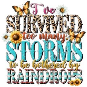 Heat transfers Iron on stickers  Inspirational sayings quotes 251 for Tshirts Iron on Decal Patches Stickers Clothes Hat Pillows DIY Crafts