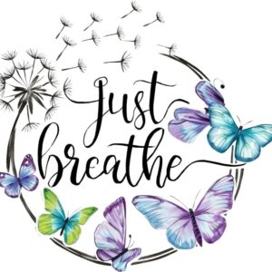 Heat transfers Iron on stickers  Inspirational sayings quotes 281 for Tshirts Iron on Decal Patches Stickers Clothes Hat Pillows DIY Crafts