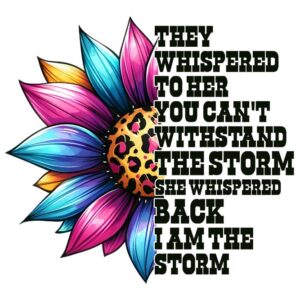 Heat transfers Iron on stickers  Inspirational sayings quotes 454 for Tshirts Iron on Decal Patches Stickers Clothes Hat Pillows DIY Crafts