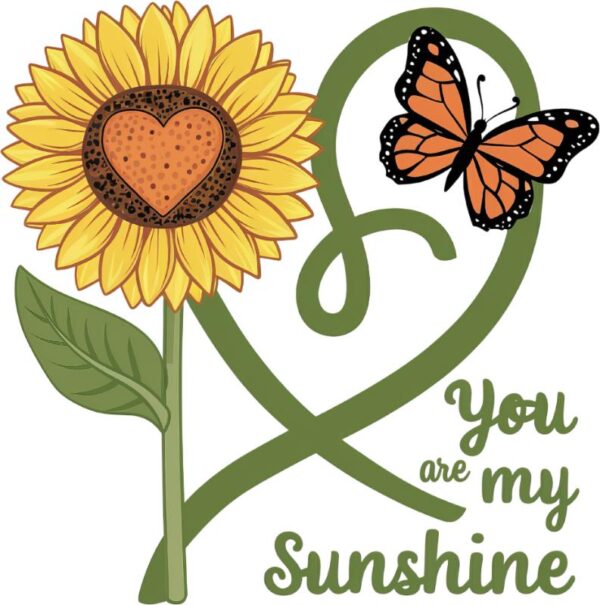Heat transfers Iron on stickers  Inspirational sayings quotes 477 for Tshirts Iron on Decal Patches Stickers Clothes Hat Pillows DIY Crafts