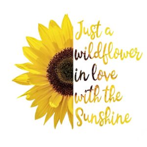 Heat transfers Iron on stickers  Inspirational sayings quotes 489 for Tshirts Iron on Decal Patches Stickers Clothes Hat Pillows DIY Crafts