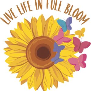 Heat transfers Iron on stickers  Inspirational sayings quotes 507 for Tshirts Iron on Decal Patches Stickers Clothes Hat Pillows DIY Crafts