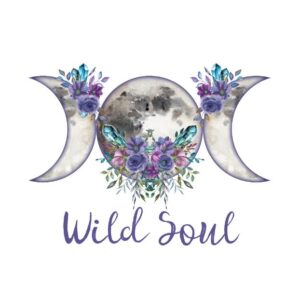 Heat transfers Iron on stickers  Inspirational sayings quotes 543 for Tshirts Iron on Decal Patches Stickers Clothes Hat Pillows DIY Crafts