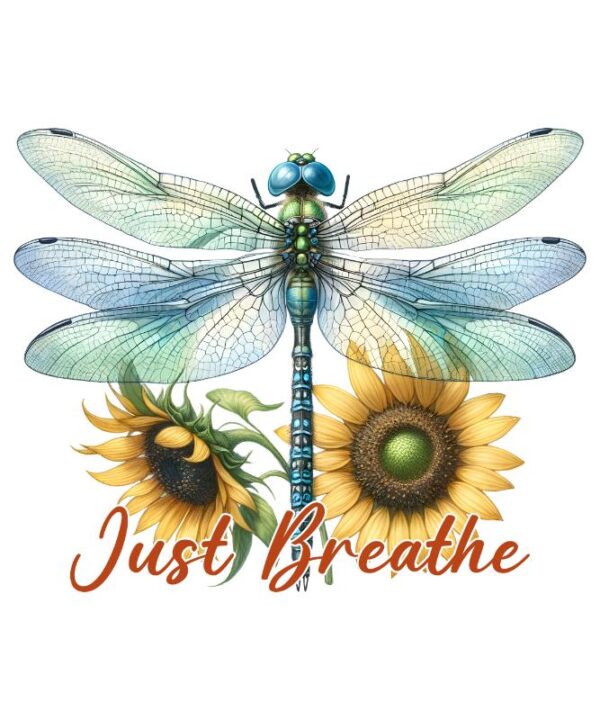 Heat transfers Iron on stickers  Inspirational sayings quotes 58 for Tshirts Iron on Decal Patches Stickers Clothes Hat Pillows DIY Crafts
