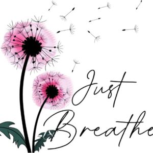 Heat transfers Iron on stickers  Inspirational sayings quotes 616 for Tshirts Iron on Decal Patches Stickers Clothes Hat Pillows DIY Crafts