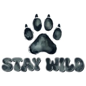 Heat transfers Iron on stickers  Inspirational sayings quotes 642 for Tshirts Iron on Decal Patches Stickers Clothes Hat Pillows DIY Crafts