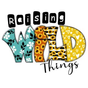 Heat transfers Iron on stickers  Inspirational sayings quotes 752 for Tshirts Iron on Decal Patches Stickers Clothes Hat Pillows DIY Crafts