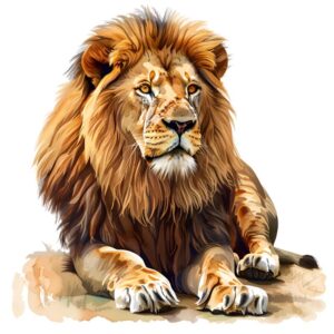 Heat transfers Iron on stickers  Lion 13 for Tshirts Iron on Decal Patches Stickers Clothes Hat Pillows DIY Crafts