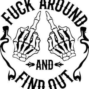 Heat transfers Iron on stickers  Obscene Curse Swear Bad words 102 for Tshirts Iron on Decal Patches Stickers Clothes Hat Pillows DIY Crafts