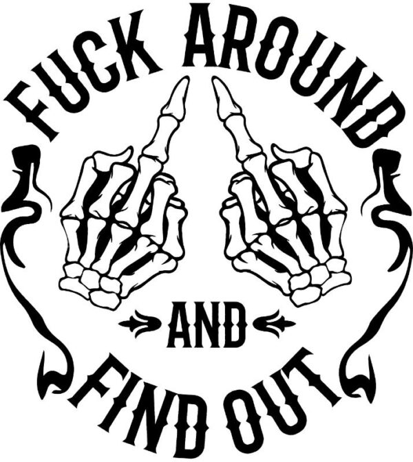Heat transfers Iron on stickers  Obscene Curse Swear Bad words 102 for Tshirts Iron on Decal Patches Stickers Clothes Hat Pillows DIY Crafts