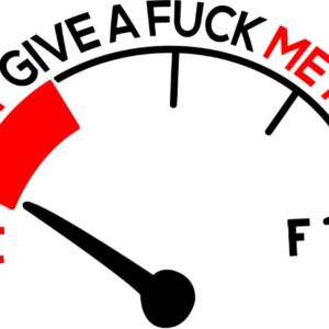 Heat transfers Iron on stickers  Obscene Curse Swear Bad words 105 for Tshirts Iron on Decal Patches Stickers Clothes Hat Pillows DIY Crafts