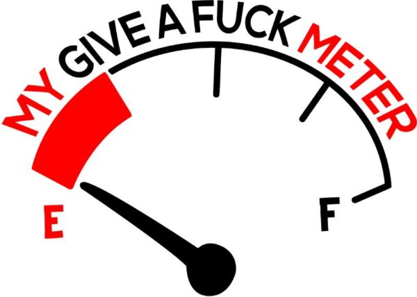 Heat transfers Iron on stickers  Obscene Curse Swear Bad words 105 for Tshirts Iron on Decal Patches Stickers Clothes Hat Pillows DIY Crafts
