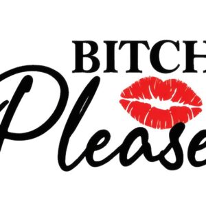 Heat transfers Iron on stickers  Obscene Curse Swear Bad words 113 for Tshirts Iron on Decal Patches Stickers Clothes Hat Pillows DIY Crafts
