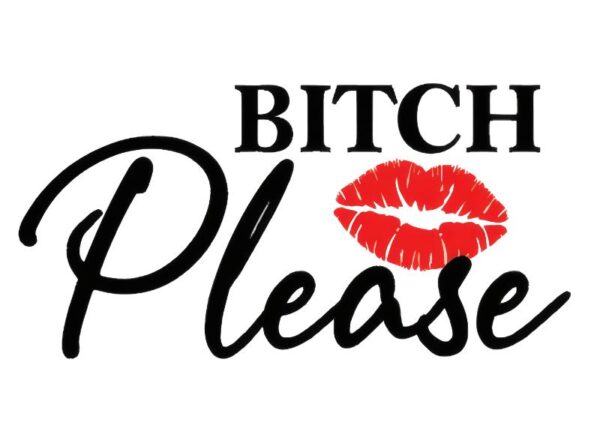 Heat transfers Iron on stickers  Obscene Curse Swear Bad words 113 for Tshirts Iron on Decal Patches Stickers Clothes Hat Pillows DIY Crafts