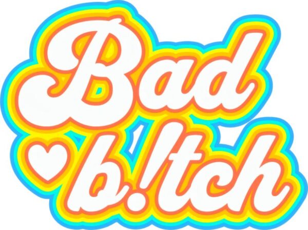 Heat transfers Iron on stickers  Obscene Curse Swear Bad words 114 for Tshirts Iron on Decal Patches Stickers Clothes Hat Pillows DIY Crafts