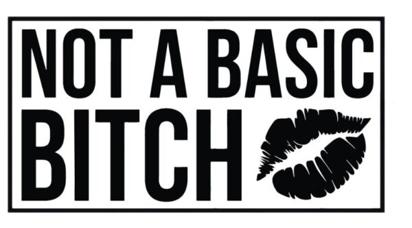 Heat transfers Iron on stickers  Obscene Curse Swear Bad words 115 for Tshirts Iron on Decal Patches Stickers Clothes Hat Pillows DIY Crafts