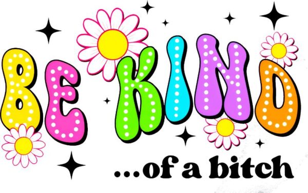 Heat transfers Iron on stickers  Obscene Curse Swear Bad words 119 for Tshirts Iron on Decal Patches Stickers Clothes Hat Pillows DIY Crafts