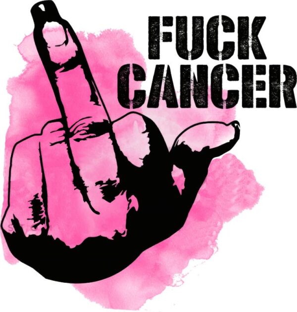 Heat transfers Iron on stickers  Obscene Curse Swear Bad words 123 for Tshirts Iron on Decal Patches Stickers Clothes Hat Pillows DIY Crafts