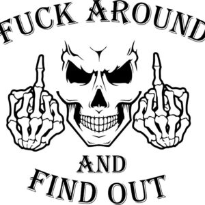 Heat transfers Iron on stickers  Obscene Curse Swear Bad words 126 for Tshirts Iron on Decal Patches Stickers Clothes Hat Pillows DIY Crafts
