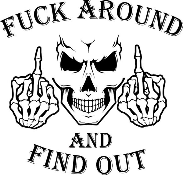 Heat transfers Iron on stickers  Obscene Curse Swear Bad words 126 for Tshirts Iron on Decal Patches Stickers Clothes Hat Pillows DIY Crafts