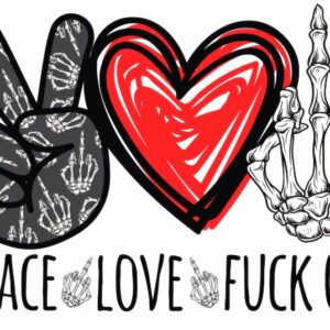 Heat transfers Iron on stickers  Obscene Curse Swear Bad words 127 for Tshirts Iron on Decal Patches Stickers Clothes Hat Pillows DIY Crafts