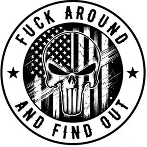 Heat transfers Iron on stickers  Obscene Curse Swear Bad words 129 for Tshirts Iron on Decal Patches Stickers Clothes Hat Pillows DIY Crafts