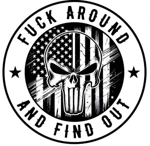 Heat transfers Iron on stickers  Obscene Curse Swear Bad words 129 for Tshirts Iron on Decal Patches Stickers Clothes Hat Pillows DIY Crafts