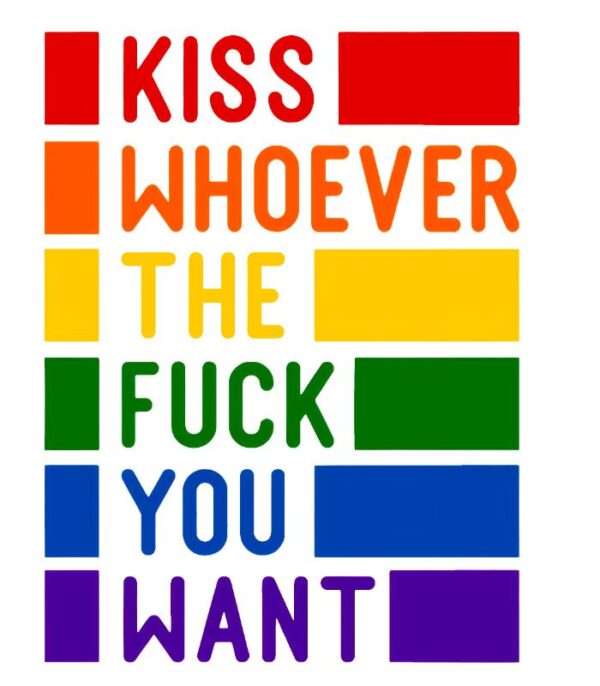Heat transfers Iron on stickers  Obscene Curse Swear Bad words 131 for Tshirts Iron on Decal Patches Stickers Clothes Hat Pillows DIY Crafts