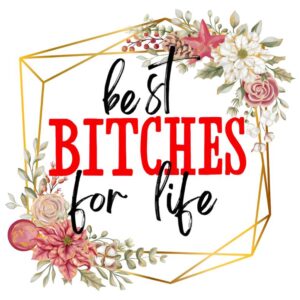 Heat transfers Iron on stickers  Obscene Curse Swear Bad words 155 for Tshirts Iron on Decal Patches Stickers Clothes Hat Pillows DIY Crafts