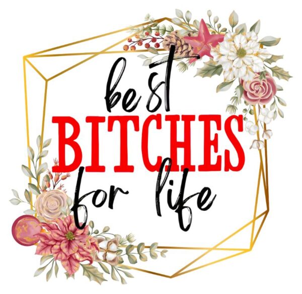 Heat transfers Iron on stickers  Obscene Curse Swear Bad words 155 for Tshirts Iron on Decal Patches Stickers Clothes Hat Pillows DIY Crafts