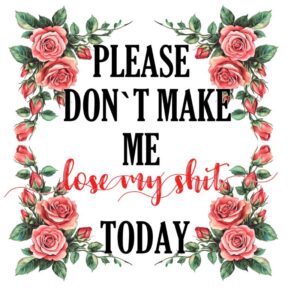 Heat transfers Iron on stickers  Obscene Curse Swear Bad words 162 for Tshirts Iron on Decal Patches Stickers Clothes Hat Pillows DIY Crafts