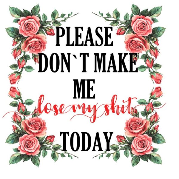 Heat transfers Iron on stickers  Obscene Curse Swear Bad words 162 for Tshirts Iron on Decal Patches Stickers Clothes Hat Pillows DIY Crafts