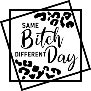 Heat transfers Iron on stickers  Obscene Curse Swear Bad words 173 for Tshirts Iron on Decal Patches Stickers Clothes Hat Pillows DIY Crafts