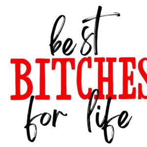 Heat transfers Iron on stickers  Obscene Curse Swear Bad words 178 for Tshirts Iron on Decal Patches Stickers Clothes Hat Pillows DIY Crafts
