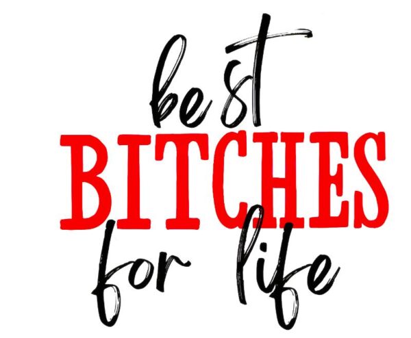 Heat transfers Iron on stickers  Obscene Curse Swear Bad words 178 for Tshirts Iron on Decal Patches Stickers Clothes Hat Pillows DIY Crafts