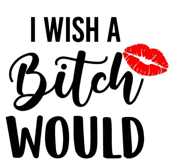 Heat transfers Iron on stickers  Obscene Curse Swear Bad words 181 for Tshirts Iron on Decal Patches Stickers Clothes Hat Pillows DIY Crafts