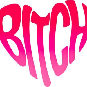 Heat transfers Iron on stickers  Obscene Curse Swear Bad words 185 for Tshirts Iron on Decal Patches Stickers Clothes Hat Pillows DIY Crafts