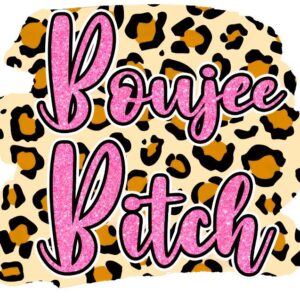 Heat transfers Iron on stickers  Obscene Curse Swear Bad words 186 for Tshirts Iron on Decal Patches Stickers Clothes Hat Pillows DIY Crafts