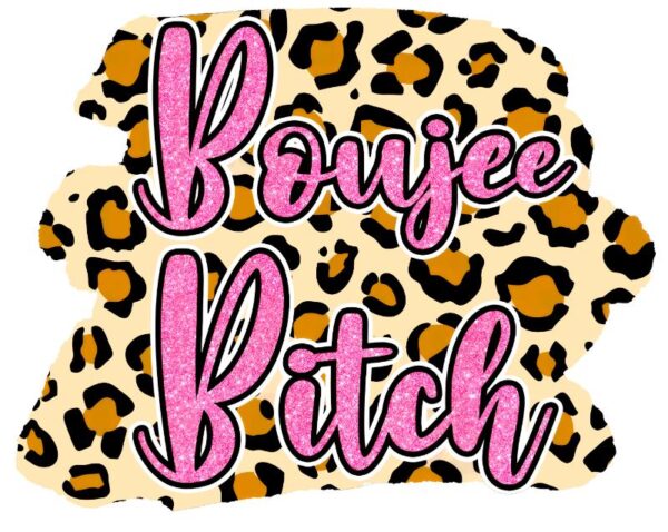 Heat transfers Iron on stickers  Obscene Curse Swear Bad words 186 for Tshirts Iron on Decal Patches Stickers Clothes Hat Pillows DIY Crafts