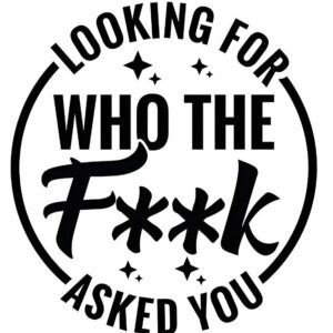 Heat transfers Iron on stickers  Obscene Curse Swear Bad words 2 for Tshirts Iron on Decal Patches Stickers Clothes Hat Pillows DIY Crafts
