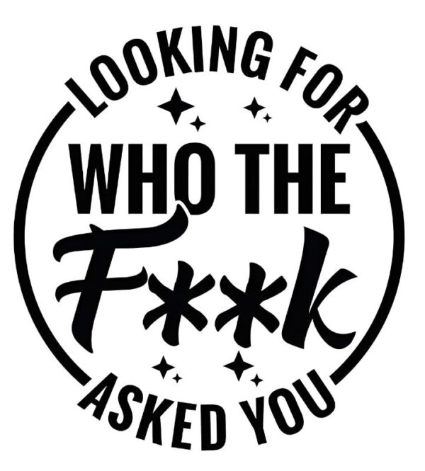 Heat transfers Iron on stickers  Obscene Curse Swear Bad words 2 for Tshirts Iron on Decal Patches Stickers Clothes Hat Pillows DIY Crafts