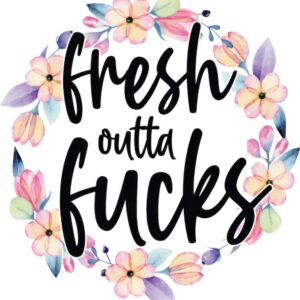 Heat transfers Iron on stickers  Obscene Curse Swear Bad words 21 for Tshirts Iron on Decal Patches Stickers Clothes Hat Pillows DIY Crafts
